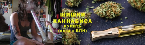 гашик Белокуриха